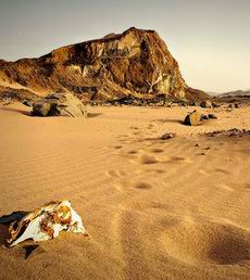 Dando vueltas en el desierto...