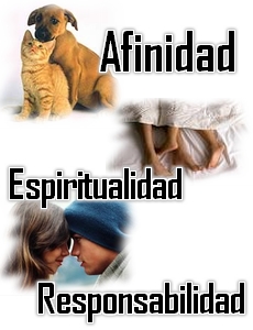 Noviazgo (I), No nos entendemos...